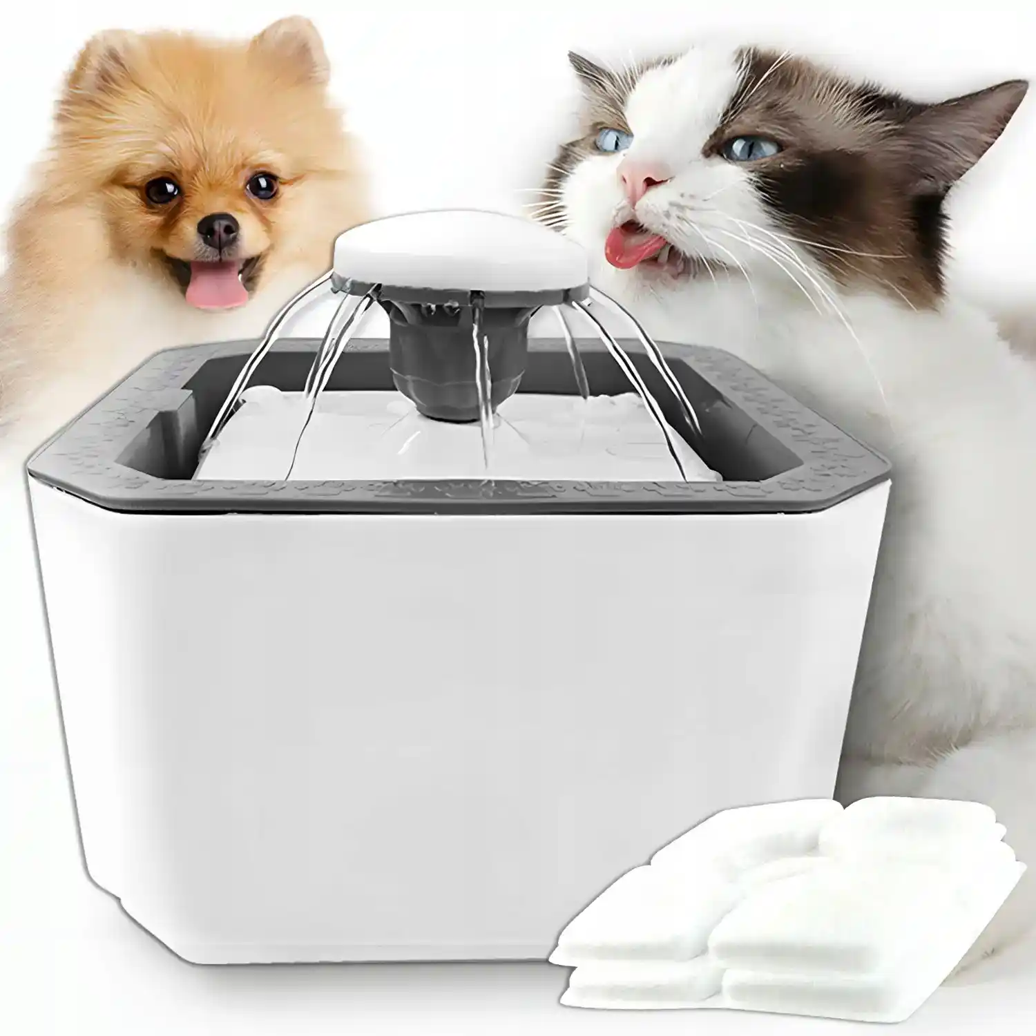 FUENTE DE AGUA BEBEDERO HUELLITA