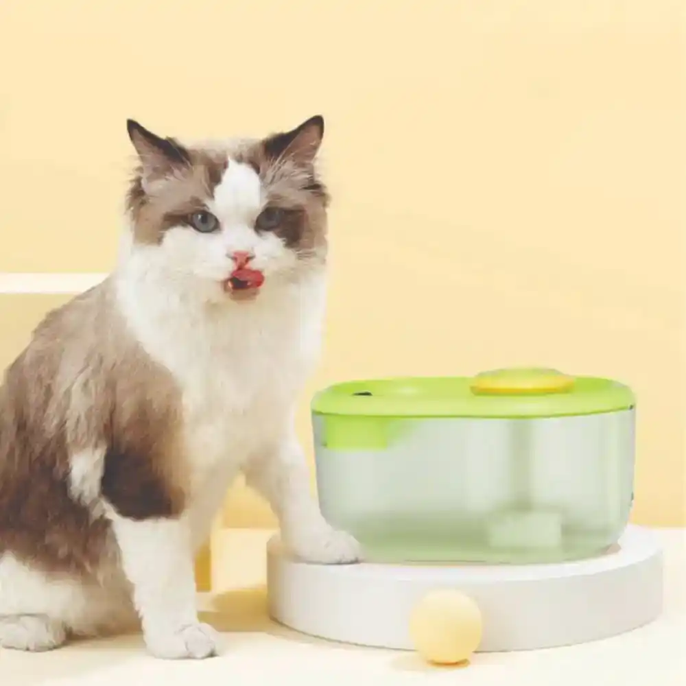 FUENTE DE AGUA MASCOTAS SENIORS